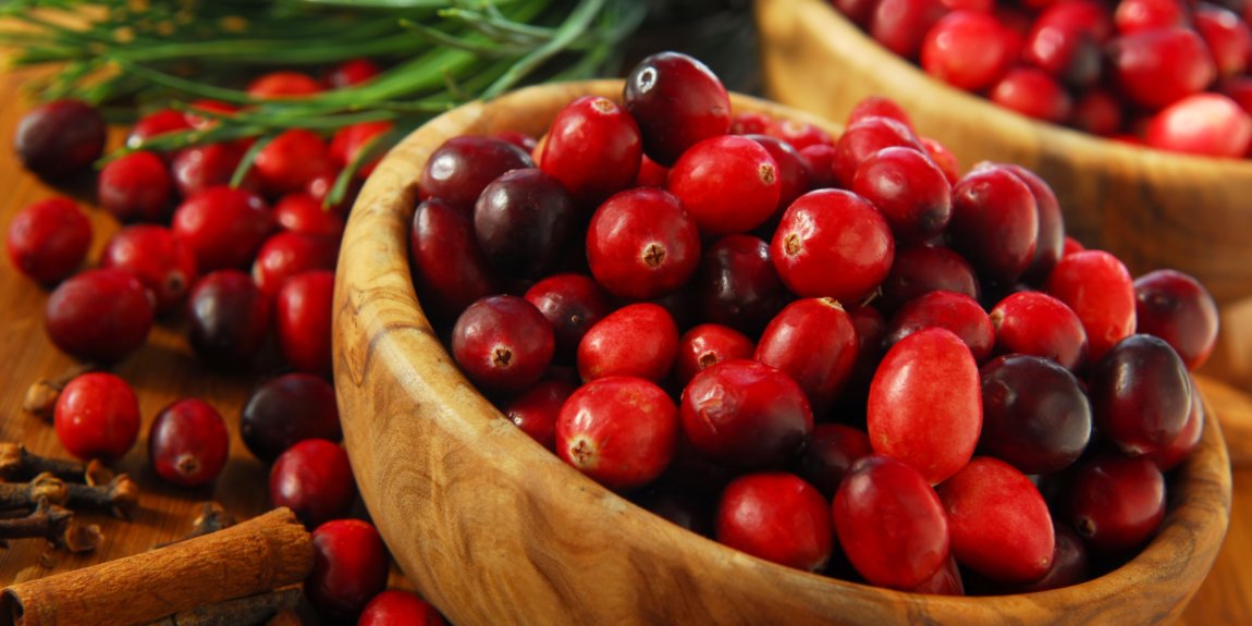 Conheça os benefícios do Cranberry